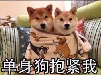 秀恩爱虐狗表情包邓超