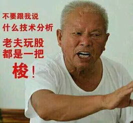 比特币表情包马斯克