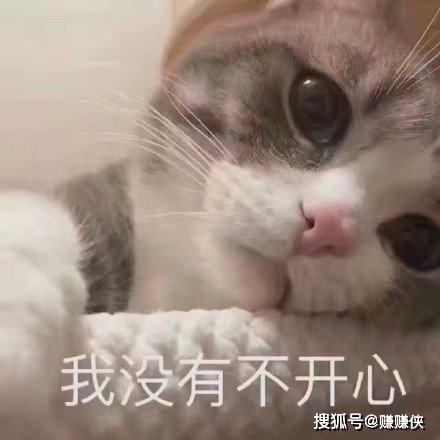 猫咪表情包不开心,我太难了,熬夜满眼都是你 猫咪表情包不开心,我太难了,熬夜满眼都是你