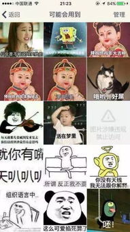  能拯救中国这届三百万孤寡青年的,就只有表情包了