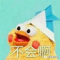  银川英皇留学广播体操成功走向国外校园