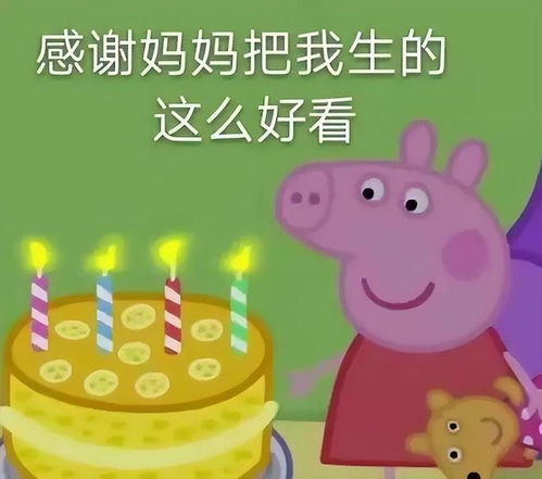  过生日,按阳历还是阴历生日不能随便过,答案出乎所有人意料