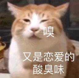  明星恋爱四大表现,你的爱豆有没有中枪