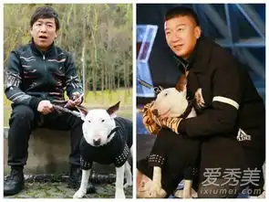 林永健牛头梗表情包黄磊