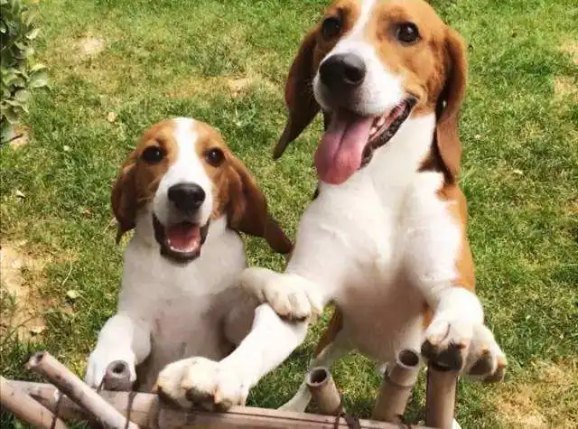 搞笑gif段子妹妹,这大晚上的,你出去绝对是一道亮丽的风景线 搞笑gif段子妹妹,这大晚上的,你出去绝对是一道亮丽的风景线