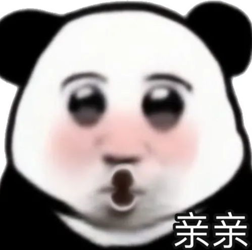  沙雕熊猫表情包真有点不好意思哈