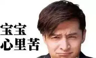 大祸临头表情包霍建华