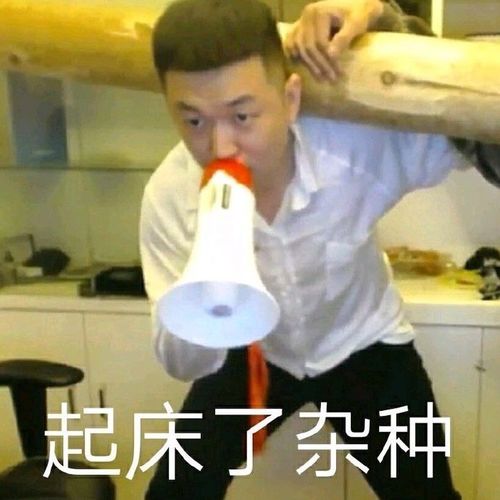  沙雕又可爱的qq朋友圈文案