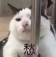  海上过大年,畅游东南亚你不能错过的合家欢邮轮假期
