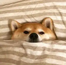 其实哪有什么转机,不过是学会了坚持那些最艰难的时刻,你是怎么过来的 其实哪有什么转机,不过是学会了坚持那些最艰难的时刻,你是怎么过来的