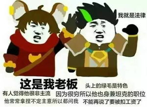  谁是你心目中王者荣耀的最强英雄