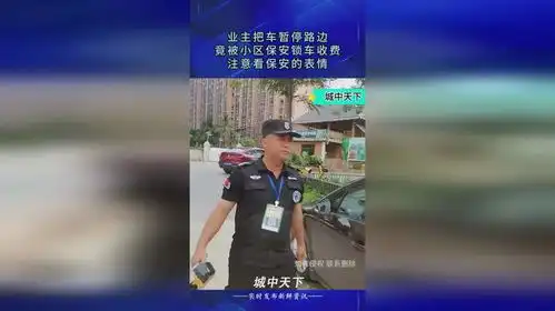 业主把车暂停路边,竟被小区保安锁车收费,注意看保安的表情 业主把车暂停路边,竟被小区保安锁车收费,注意看保安的表情