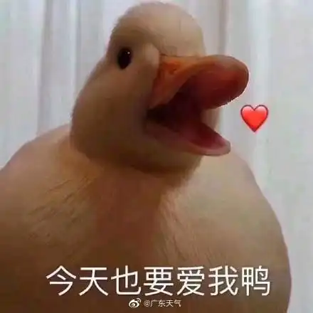 广东早间预报 广东早间预报