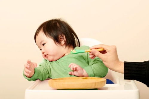  9个表情,解读宝宝对食物的喜好