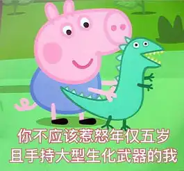 猪头像情侣表情包我不听