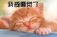  小叮当视频直播全集小叮当资料大全yy官方