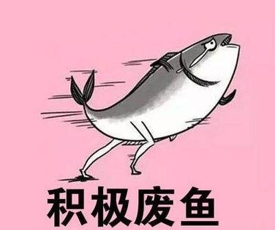 哈哈...社会学被黑最惨的一次,刘强东学社会学女朋友都找不到