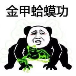  功夫表情包i吃我一招白鹤亮翅,飞龙在天