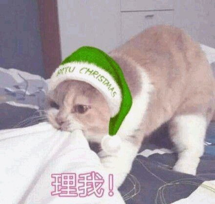 表情包现在还可以新年快乐吗不行我就恭喜发财 表情包现在还可以新年快乐吗不行我就恭喜发财