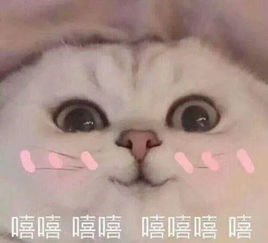  华师十二时辰收拾好小背包,跟着小u向华师进发