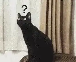 第一次听马勒音乐的黑猫,贡献了一波沙雕表情包 第一次听马勒音乐的黑猫,贡献了一波沙雕表情包