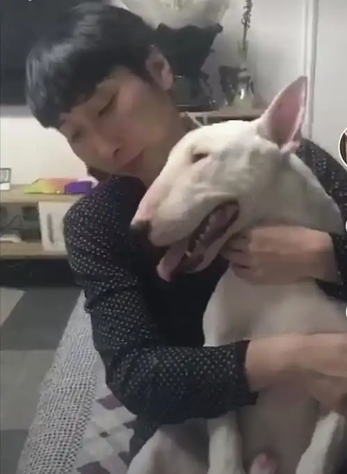 林永健牛头梗表情包黑白