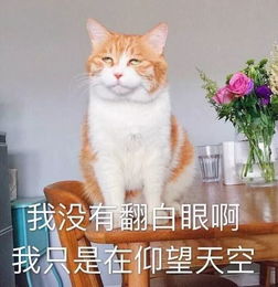  直逼40太仓高温五连击更难熬的是