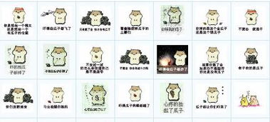  求这种小仓鼠的表情包,还有抱着瓜子的那个系列