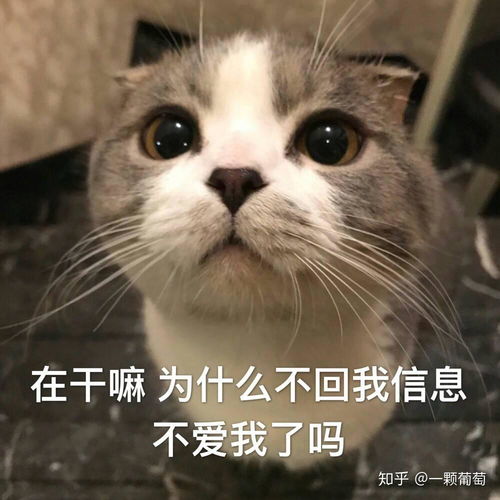  狮子座不喜欢一个人是怎么样的