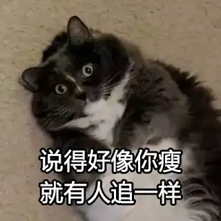 猫咬被子表情包图片