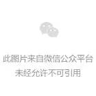  鸟中大熊猫黑鹳现身祥云
