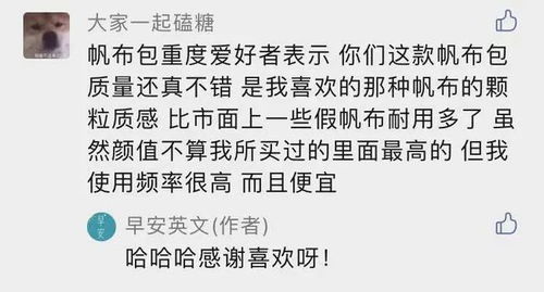  买那么多大牌包干嘛秋天一只帆布包够美了