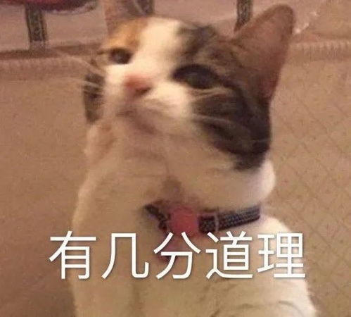  表情包这个世界太乱,快来我怀里