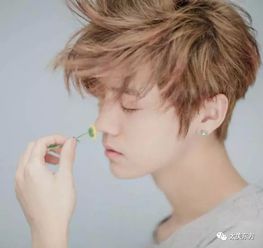 改名字被包养美少年人设为何变成全网黑 改名字被包养美少年人设为何变成全网黑