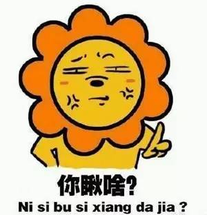  东北人你可真是任性到飞起来