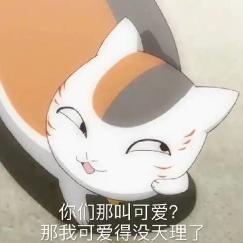 当喵咪遇上网红音乐,喵星吉祥物来啦 当喵咪遇上网红音乐,喵星吉祥物来啦