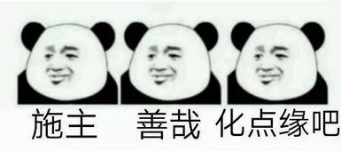  佛系青年的日常