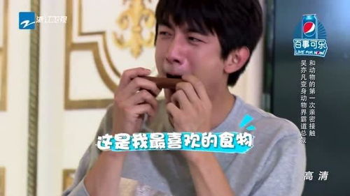  林更新看到狗粮莫名激动,直呼我最爱的食物,李晨大喊林狗
