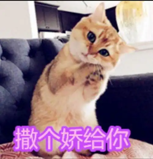 a收藏夹 a收藏夹