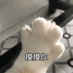 坏坏的撩妹表情包今天你那里吹风了吗风有告诉你我喜欢你吗 坏坏的撩妹表情包今天你那里吹风了吗风有告诉你我喜欢你吗