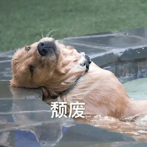 公司年会有多折磨人我第一次看到这么绝望的表演 公司年会有多折磨人我第一次看到这么绝望的表演