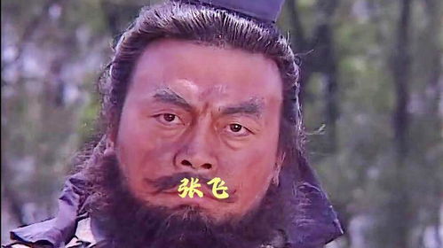 一口气看完张飞的一生历史人物百家姓百家姓 一口气看完张飞的一生历史人物百家姓百家姓