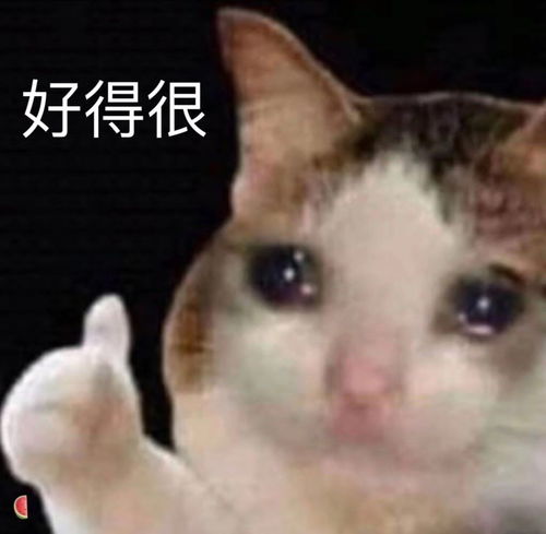  群里的沙雕表情包01