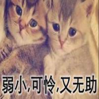  弱小可怜表情包微信头像图片大全