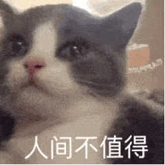  抖音发布热门表情