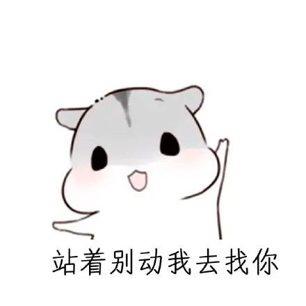  可爱仓鼠表情包