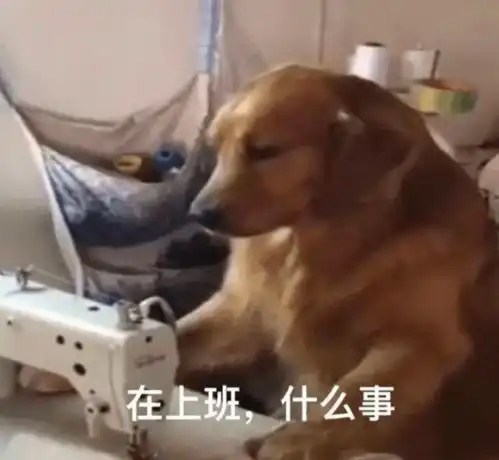  70年轻人比领导下班早剩下30是没长腿吗