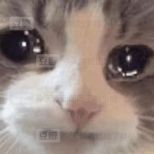  一只鸭仔快逃