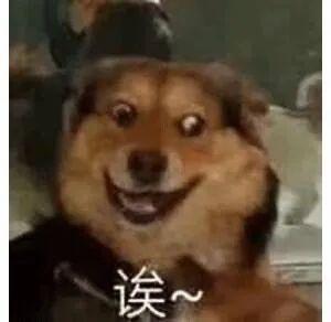  经验分享千万小心留学生活那些租房陷阱