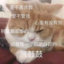  撩小姐姐的表情包,让聊天变甜